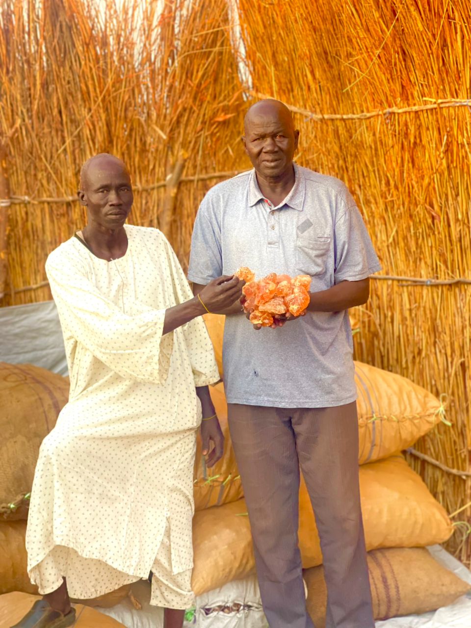 Quality assurance and processing